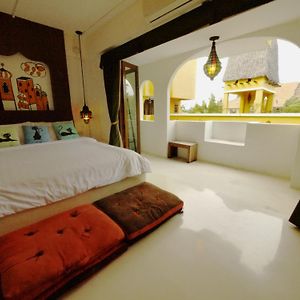 Sitting Cat Room